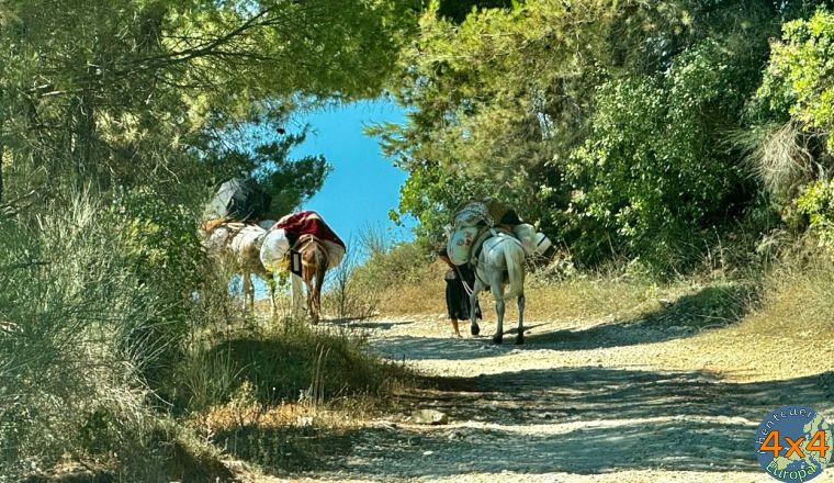 4al10   1 von 4al10   1 von