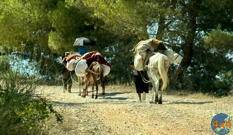 4al10   2 von 4al10   2 von