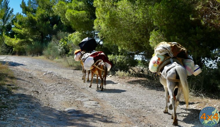 4al10   3 von 4al10   3 von