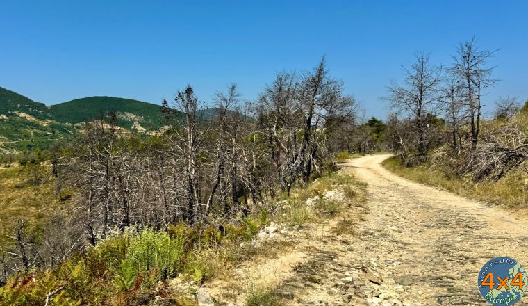 4al10   6 von 4al10   6 von