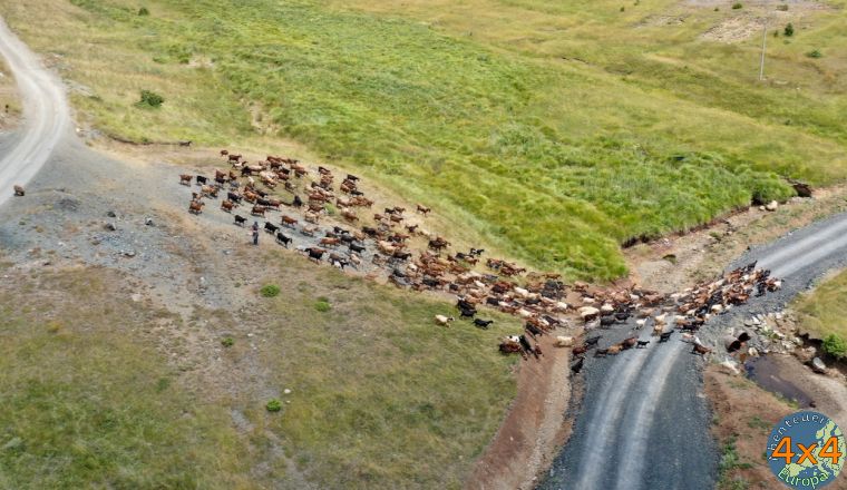 4al3   18 von 4al3   18 von