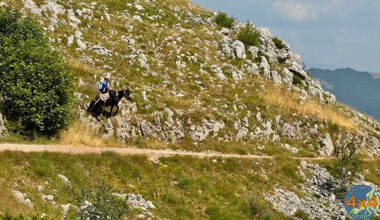 4al3   20 von 4al3   20 von