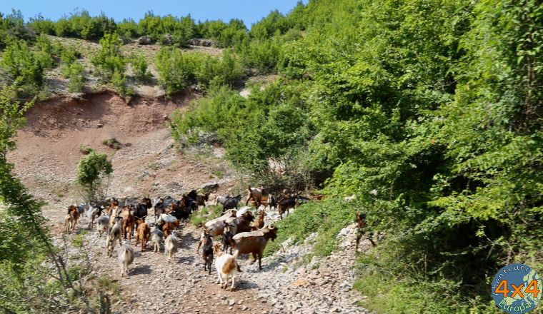 4al3   von 4al3   von