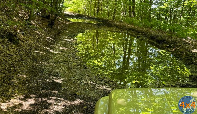 4al4   8 von 4al4   8 von