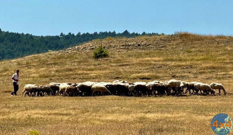 4al5   10 von 4al5   10 von