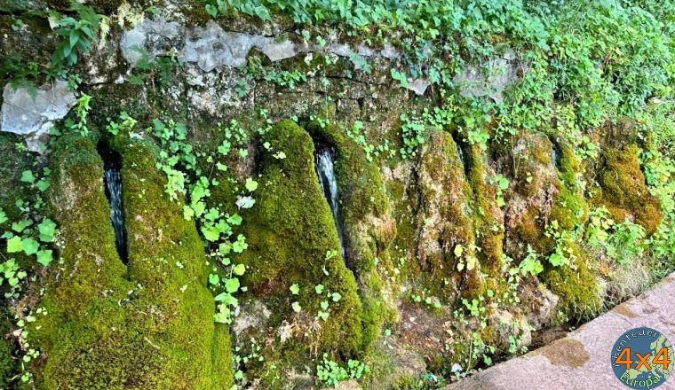 4al6   2 von 4al6   2 von