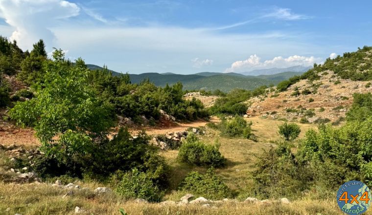 4al6   3 von 4al6   3 von