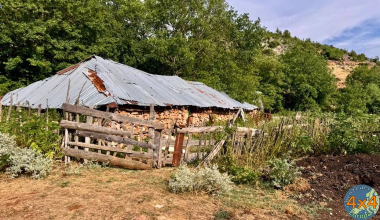 4al6   5 von 4al6   5 von