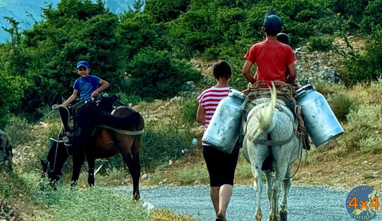 4al6   6 von 4al6   6 von