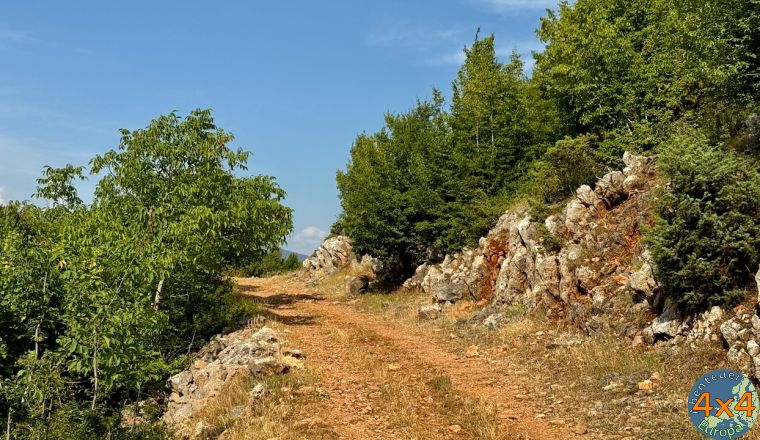 4al6   7 von 4al6   7 von