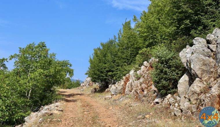 4al6   von 4al6   von