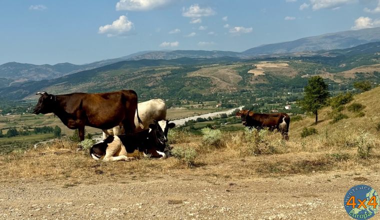 al2   18 von al2   18 von