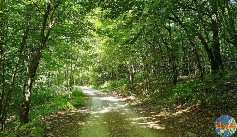 4bh1   6 von 4bh1   6 von