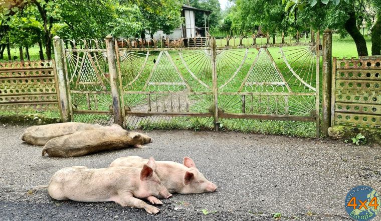 4ge1   4 von 4ge1   4 von