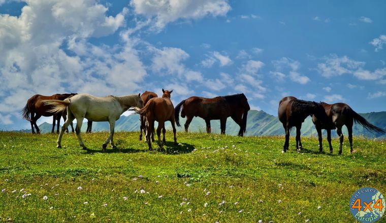 4ge14   27 von 4ge14   27 von