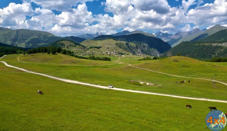 4ge14   9 von 4ge14   9 von