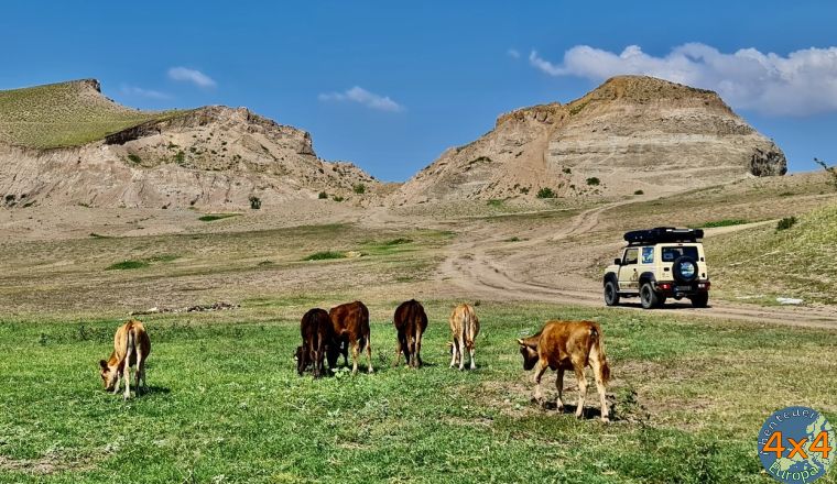 4ge17   16 von 4ge17   16 von