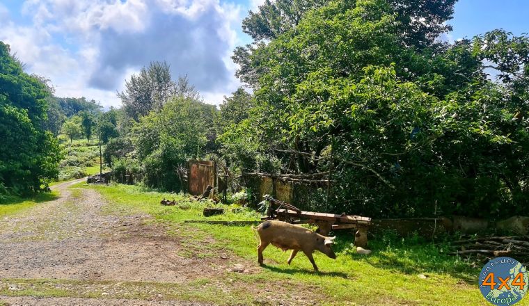 4ge2   2 von 4ge2   2 von