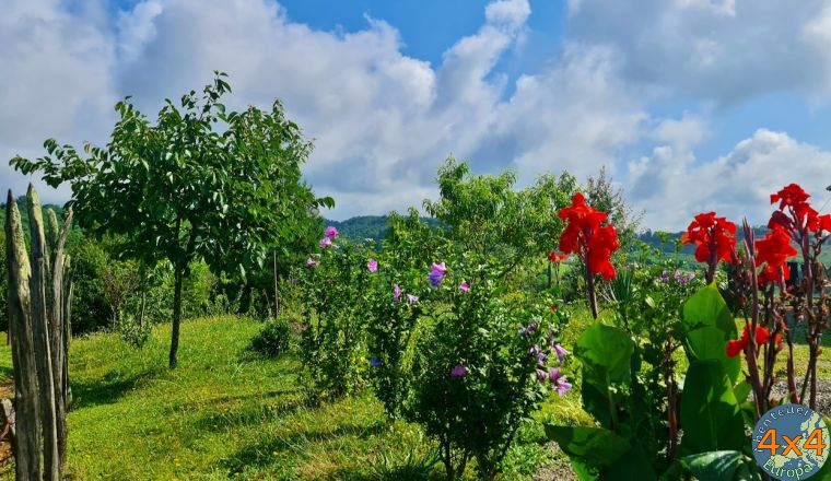 4ge2   3 von 4ge2   3 von