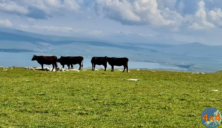 4ge21   13 von 4ge21   13 von