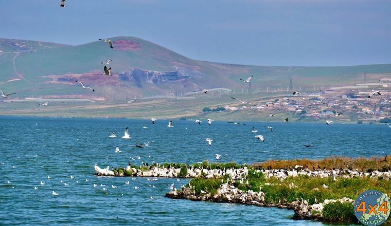 4ge21   von 4ge21   von