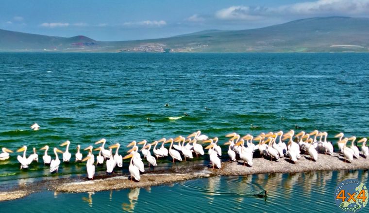 4ge21   5 von 4ge21   5 von