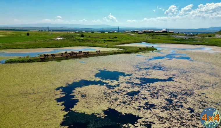 4ge24   3 von 4ge24   3 von