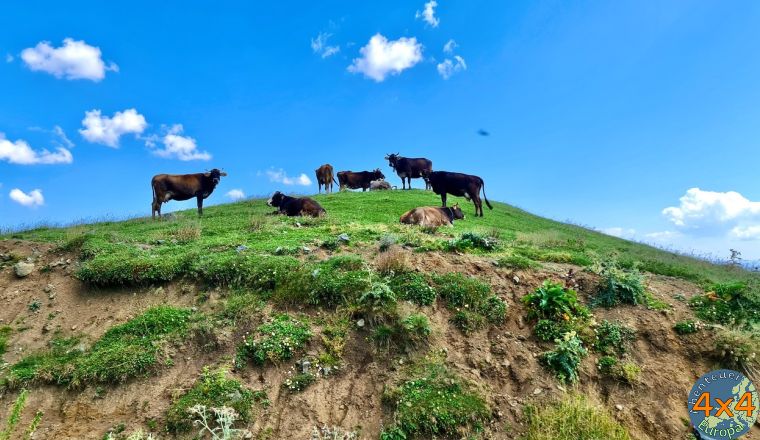 4ge27   von 4ge27   von