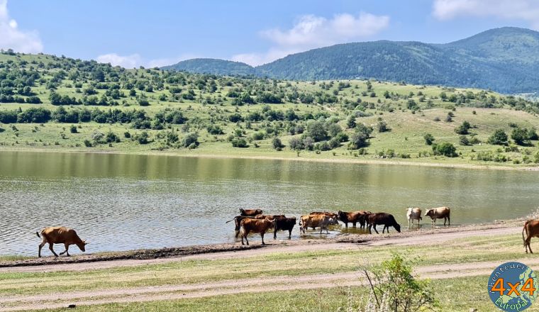 4ge28   1 von 4ge28   1 von