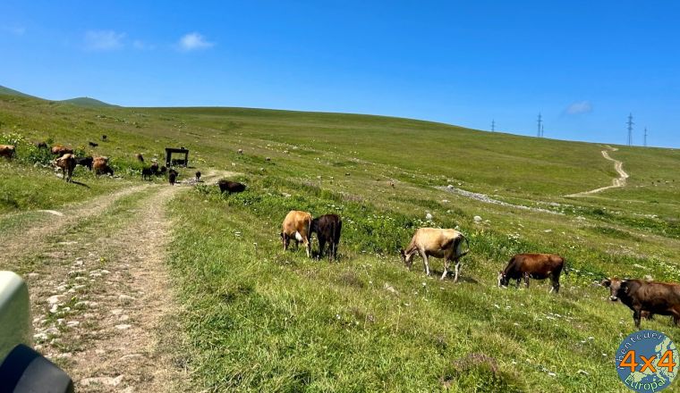 4ge28   10 von 4ge28   10 von