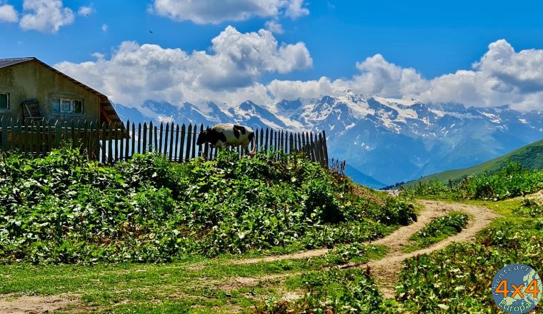 4ge6   13 von 4ge6   13 von