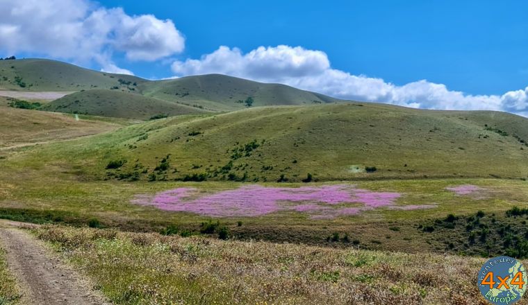 4ge9   9 von 4ge9   9 von