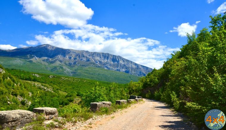 4hr17   5 von 4hr17   5 von