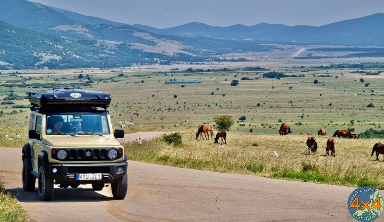 4hr21   1 von 4hr21   1 von