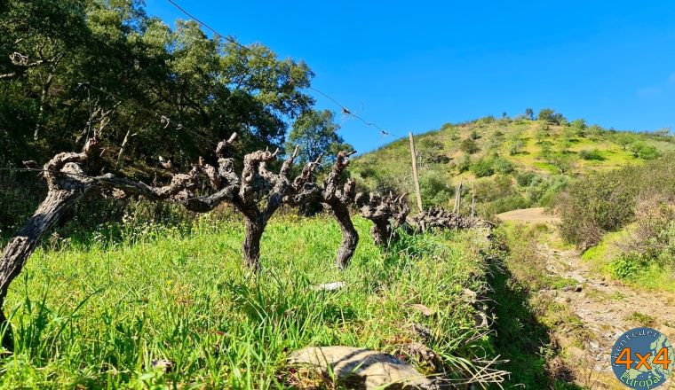 4pt1   10 von 4pt1   10 von