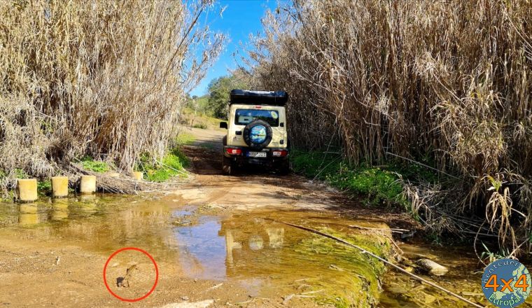 4pt1   5 von 4pt1   5 von