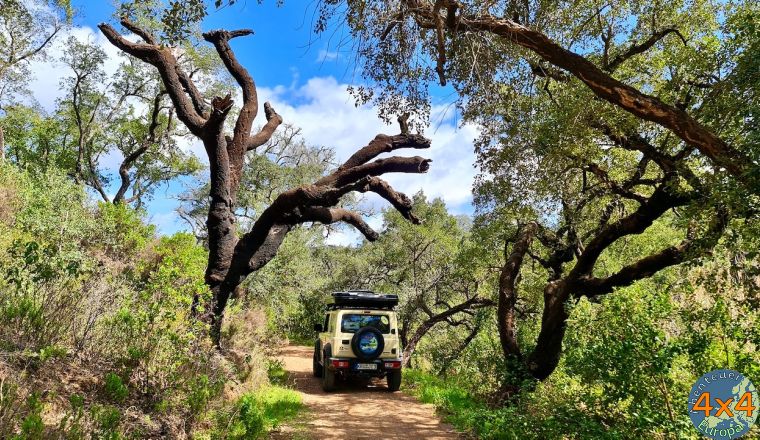 4pt3   10 von 4pt3   10 von