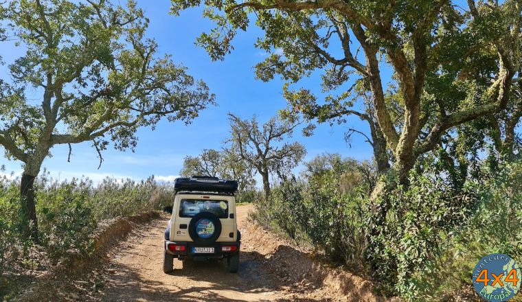 4pt3   von 4pt3   von