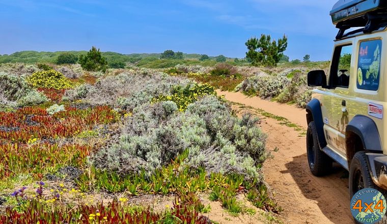 pt10   1 von pt10   1 von