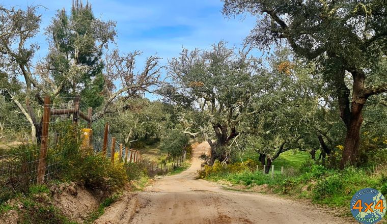 pt11   1 von pt11   1 von