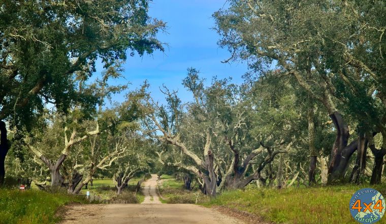 pt11   2 von pt11   2 von