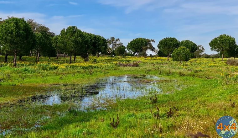 pt11   4 von pt11   4 von