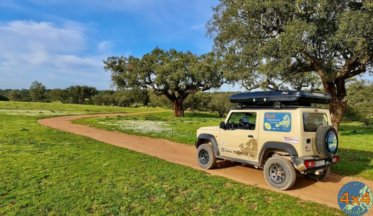 pt11   8 von pt11   8 von