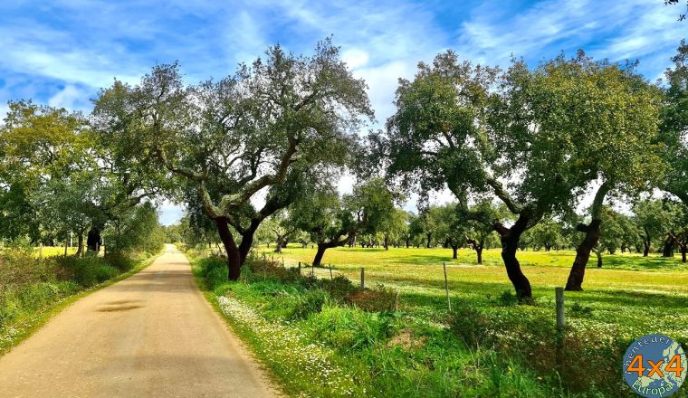 pt14   2 von pt14   2 von