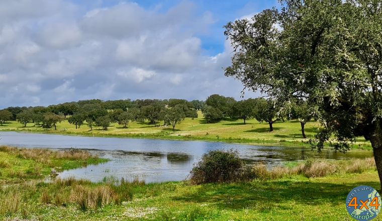 pt14   3 von pt14   3 von