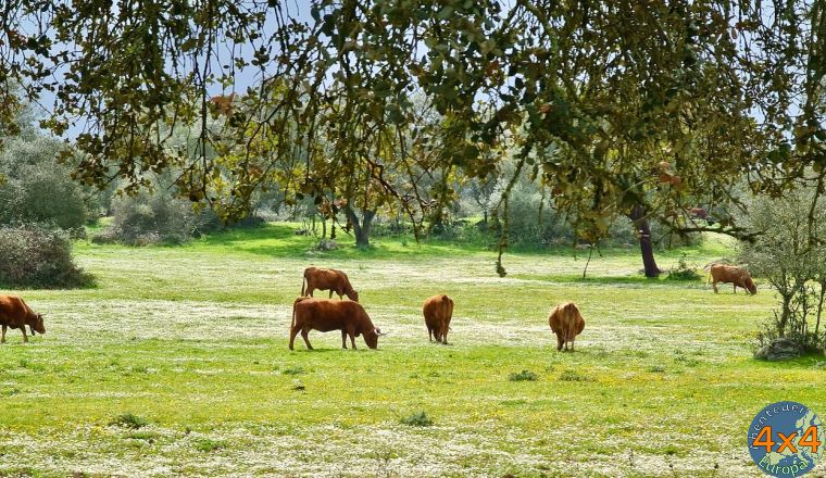 pt14   4 von pt14   4 von