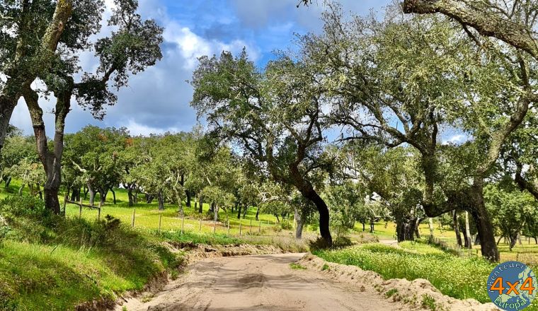 pt14   5 von pt14   5 von