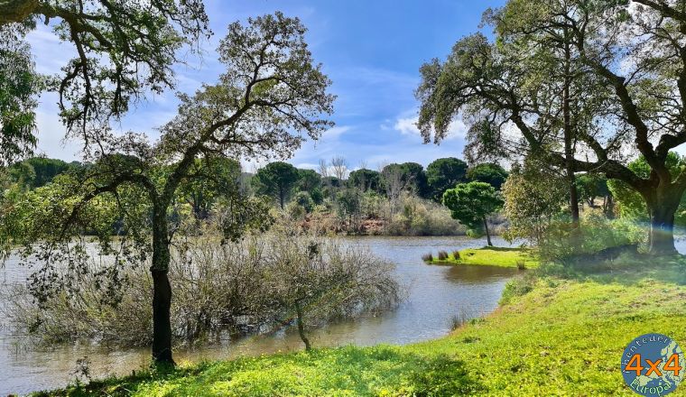 pt15   1 von pt15   1 von