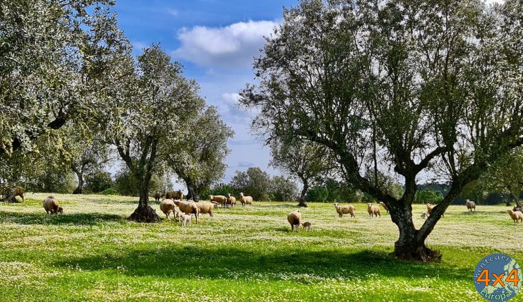 pt15   2 von pt15   2 von