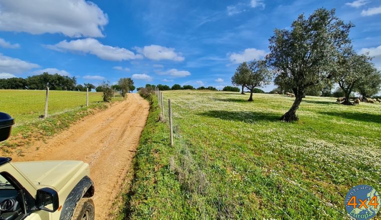 pt15   3 von pt15   3 von